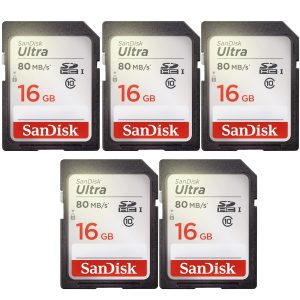 SanDisk SDHC Memory Card 16GB Class 10 80MBs Bundle-0