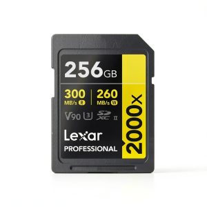 SanDisk SDXC Card 256GB UHS-II V90 8K Video Support-0