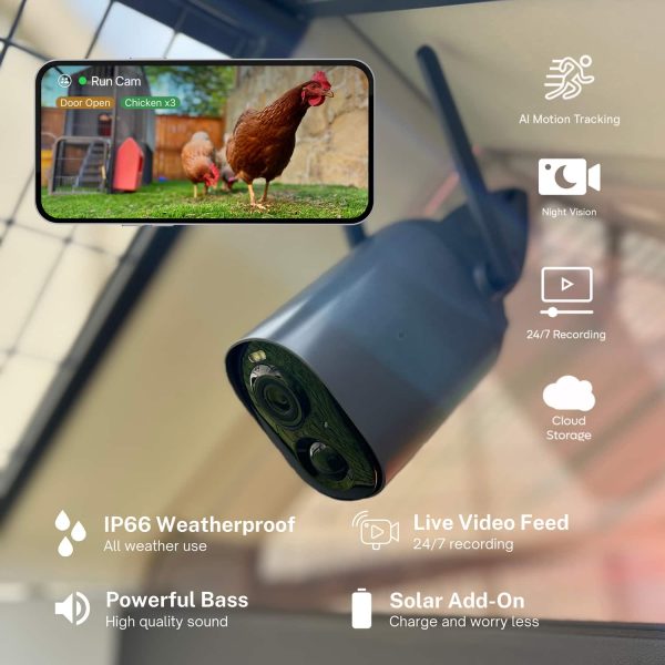 EggsteinAI Smart Coop WiFi Cam AI Monitoring for Chicken-13