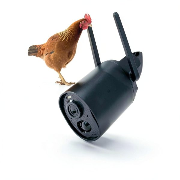 EggsteinAI Smart Coop WiFi Cam AI Monitoring for Chicken-12