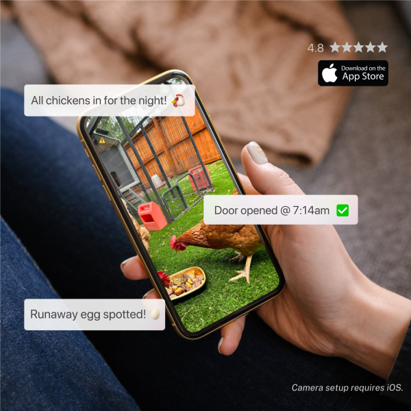 EggsteinAI Smart Coop WiFi Cam AI Monitoring for Chicken-6