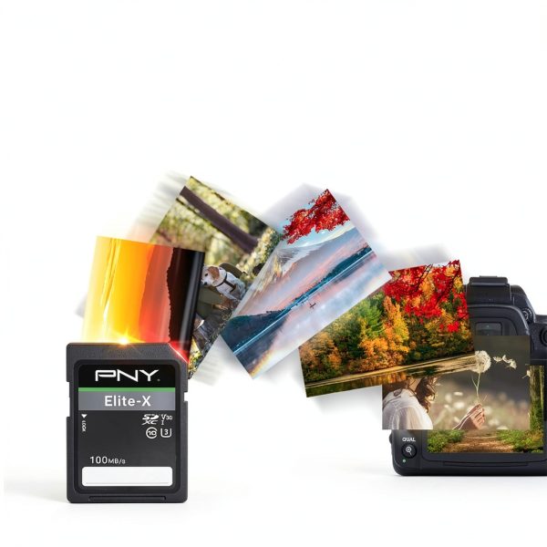 PNY Elite-X SD Card U3 V30 Photography Videography Storage-5
