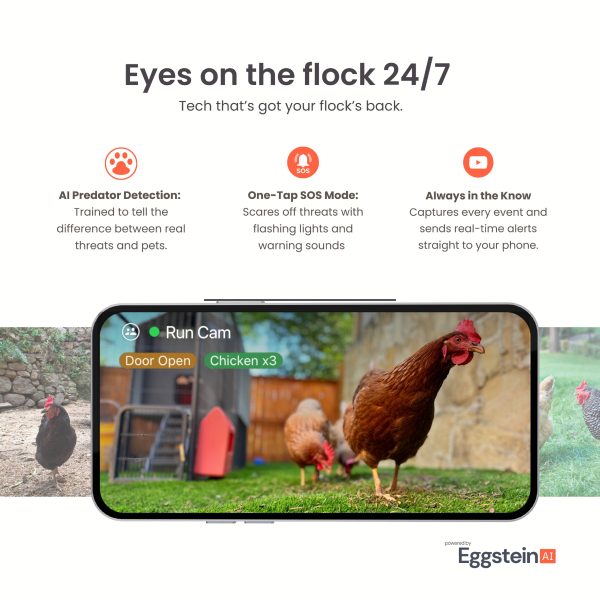 EggsteinAI Smart Coop WiFi Cam AI Monitoring for Chicken-4