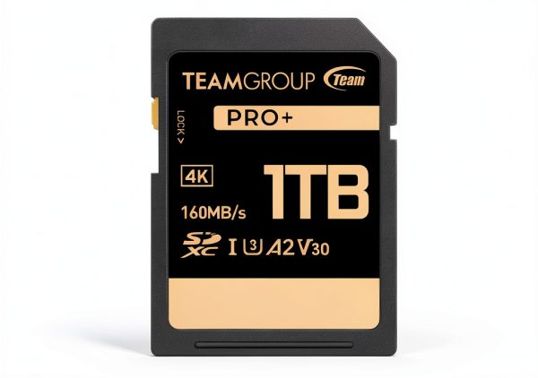 Team Group 1TB PRO Plus SDXC U3 V30 A2 4K SD Card-0
