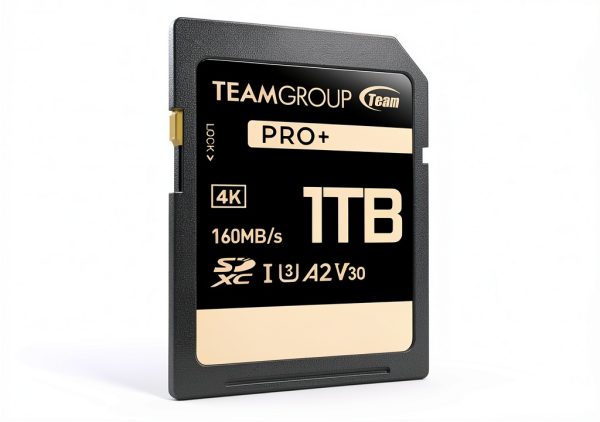 Team Group 1TB PRO Plus SDXC U3 V30 A2 4K SD Card-1