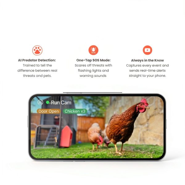 EggsteinAI Smart Coop WiFi Cam AI Monitoring for Chicken-10