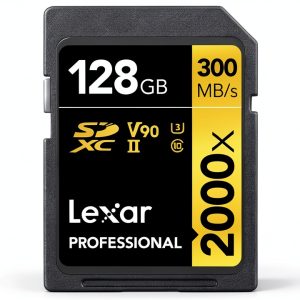 Lexar Professional SDXC Memory Card 128GB Fast Writing-0